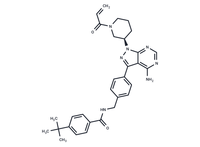 BTK-IN-27