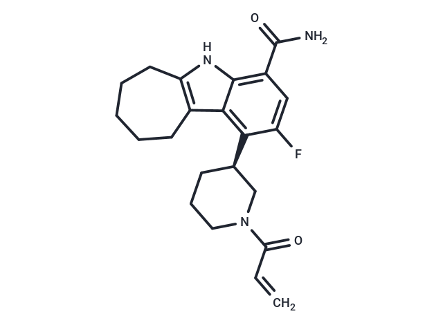 Cinsebrutinib