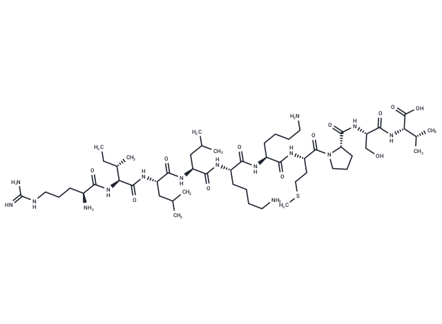 Handle region peptide, rat