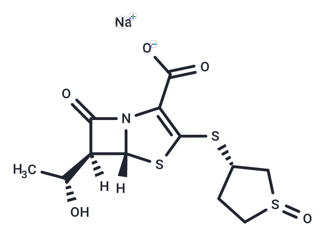 Sulopenem sodium