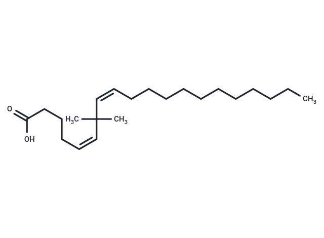 7,7-Dimethyl-(5Z,8Z)-eicosadienoic acid